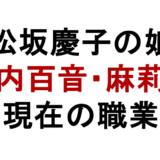 松坂慶子の娘はいま何してる？年齢・学歴・現在の職業まとめ
