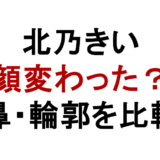 北乃きいは整形したのか？鼻・目・輪郭の変化を時系列比較