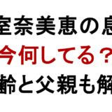 安室奈美恵の息子 今何してる？ 年齢と父親も解説