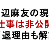渡辺麻友の現在 仕事は非公開 引退理由も解説