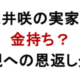 武井咲の実家は 金持ち？ 両親への恩返し発言