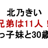 北乃きい 兄弟は11人! 末っ子妹と30歳差