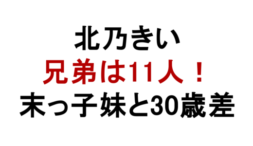 北乃きいの兄弟は11人！長女で末っ子妹と30歳差