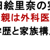 岩田絵里奈の実家 父親は外科医？ 学歴と家族構成