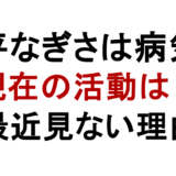 片平なぎさは病気？ 現在の活動は？ 最近見ない理由