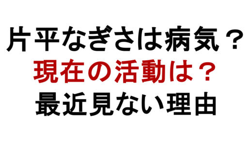 片平なぎさは病気？現在の活動と最近見ない理由