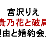 宮沢りえ 貴乃花と破局 理由と婚約会見