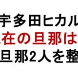 宇多田ヒカル 現在の旦那は? 元旦那2人を整理
